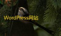 WordPress网站有新文章发布时发送邮件通知所有用户